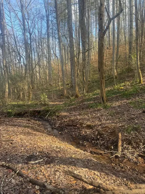 0 Wide Horizon Dr, Franklin, NC 28734