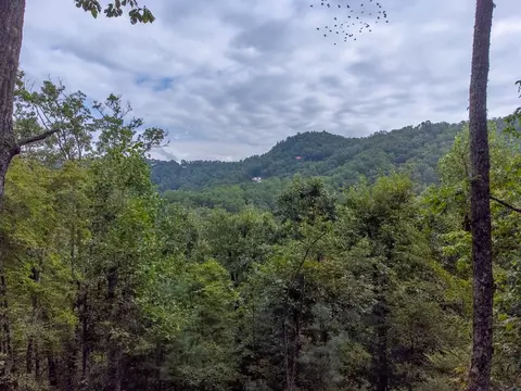 Other - 246 Fiddle And A Bow Ln, Sylva, NC 28779 photo 7 of 12