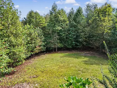 Exterior - 804 Wikle Rd, Hayesville, NC 28904 photo 29 of 29