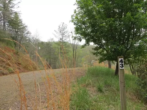 43 Dairy View Rd, Franklin, NC 28734 photo 1