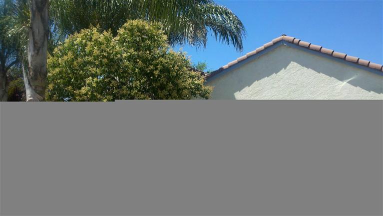 1538 E Cypress Ave, Reedley, CA 93654 photo 1