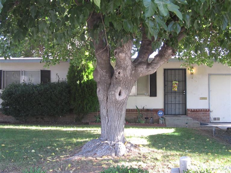 35 Gettysburg Ave, Clovis, CA 93612 photo 1
