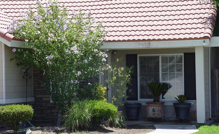 2444 Sample Ave, Clovis, CA 93611 photo 1