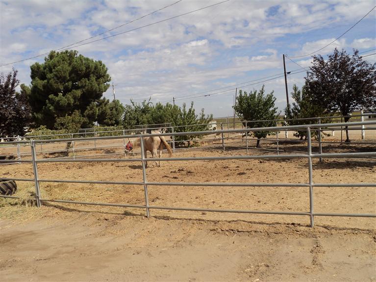 5711 S Locan Ave, Fowler, CA 93625 photo 1