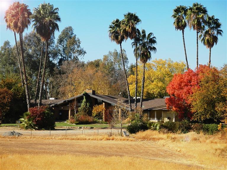 6329 Amber Ave, Clovis, CA 93619 photo 1