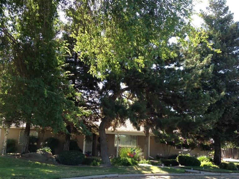 12250 S Cornelia Ave, Caruthers, CA 93609 photo 1