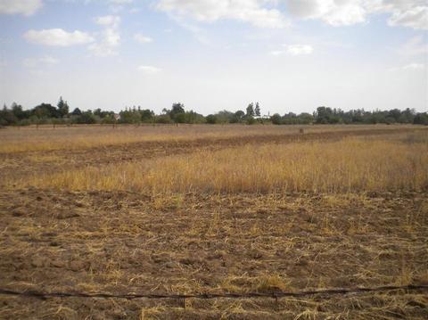 7349 Tollhouse Rd, Clovis, CA 93619 photo 1