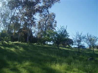 26152 Home Run Ln, Clovis, CA 93619 photo 1