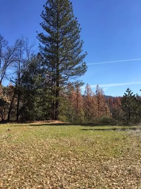 52857 Timberview Rd, North Fork, CA 93643 photo 1