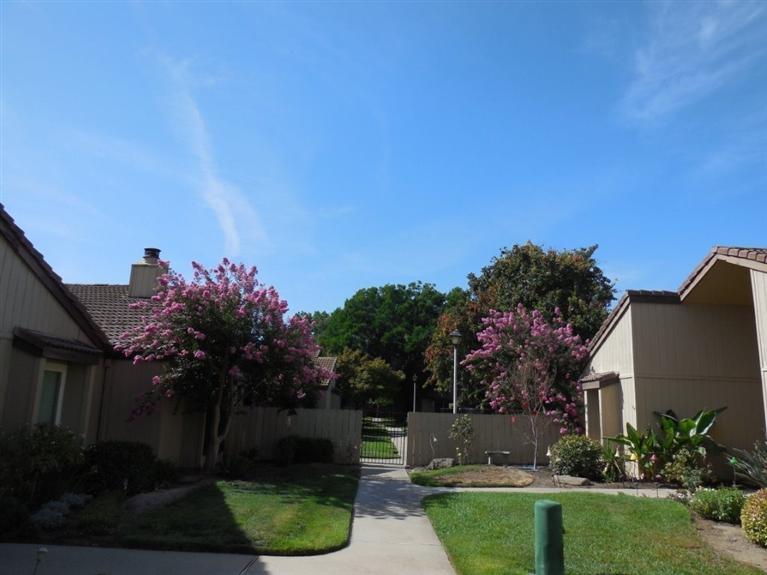 1842 Cougar Ln, Clovis, CA 93611 photo 1