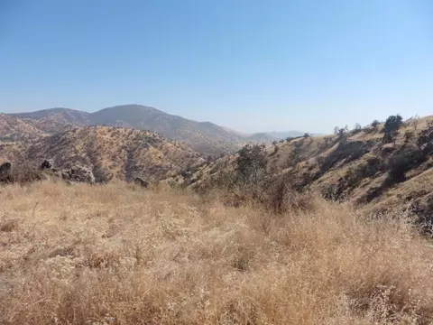 35383 George Smith Rd, Squaw Valley, CA 93675 photo 1