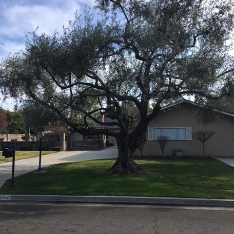 5944 E Montecito Ave, Fresno, CA 93727 photo 1