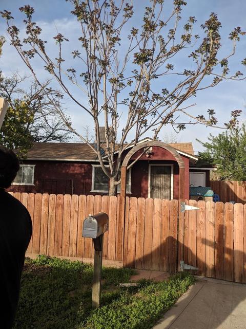 709 S Lake St, Madera, CA 93638 photo 1