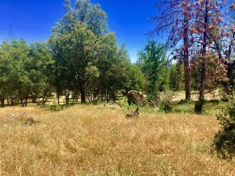 33595 Road 223, North Fork, CA 93643 photo 1