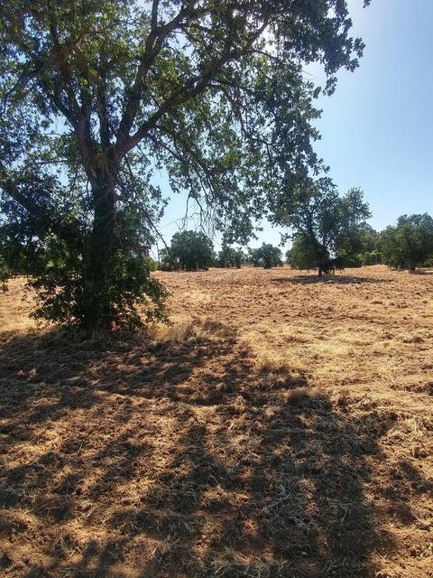 8316 N Armstrong Ave, Clovis, CA 93619 photo 1