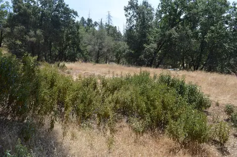 58263 Trails End Rd, North Fork, CA 93643 photo 1