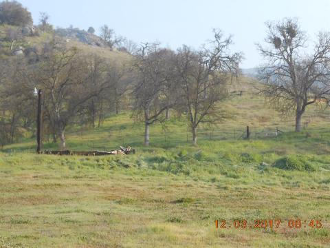 37632 Mistletoe Rd, Squaw Valley, CA 93675 photo 1