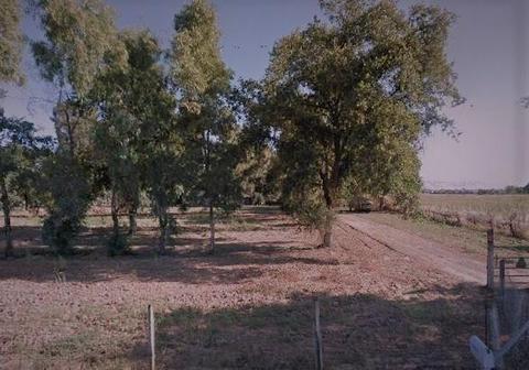 5620 E Teague Ave, Clovis, CA 93619 photo 1