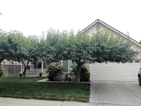 196 E Gibson Ave, Reedley, CA 93654 photo 1