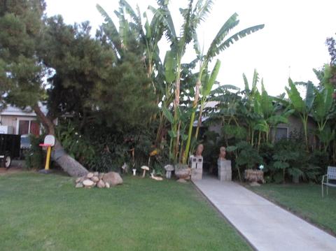 165 E Warner Ave, Fresno, CA 93710 photo 1