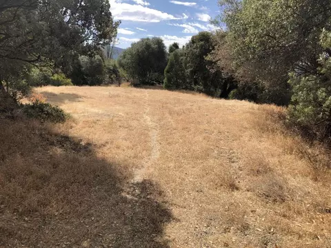 40970 Jean Rd E, Oakhurst, CA 93644 photo 1