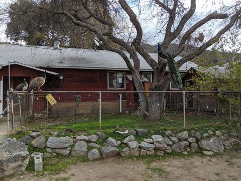 39462 E Kings Canyon Rd, Dunlap, CA 93621 photo 1
