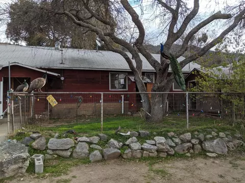 39462 E Kings Canyon Rd, Dunlap, CA 93621 photo 1
