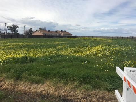 1635 Cordel Ave, Firebaugh, CA 93622 photo 1