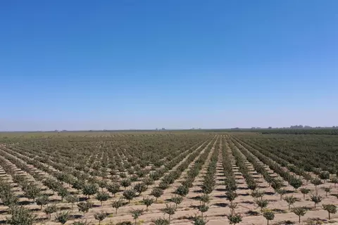 4690 Road 20, Madera, CA 93637 photo 1