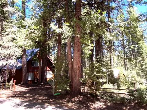 7723 N Forest Drive Dr N, Fish Camp, CA 93623 photo 1