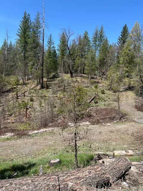 6483 Greeley Hill Rd, Coulterville, CA 95311