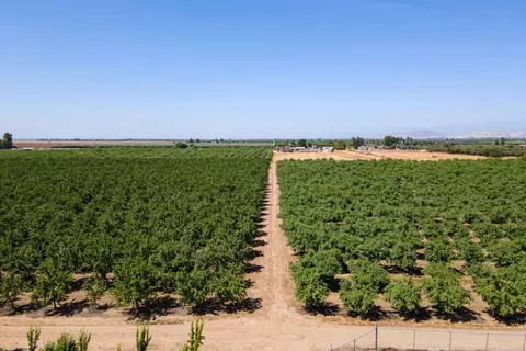 19780 Rd 188, Strathmore, CA 93267 photo 1