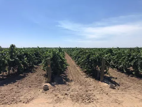 13221 Road 22, Madera, CA 93637 photo 1