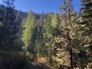 1 Mineral King Rd, Three Rivers, CA 93271