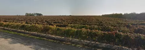 8802 Road 25, Madera, CA 93637 photo 1