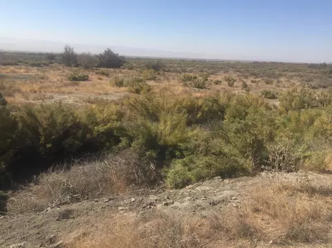 123 Highway 58, Buttonwillow, CA 93206