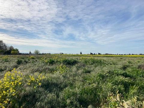 1 Blossom St, Dos Palos, CA 93620