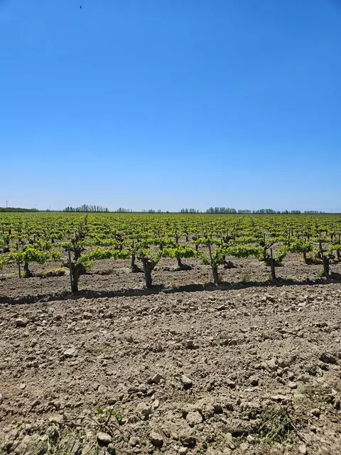 0 W North Ave, Kerman, CA 93630