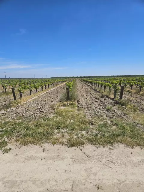 0 W North Ave, Kerman, CA 93630 photo 3