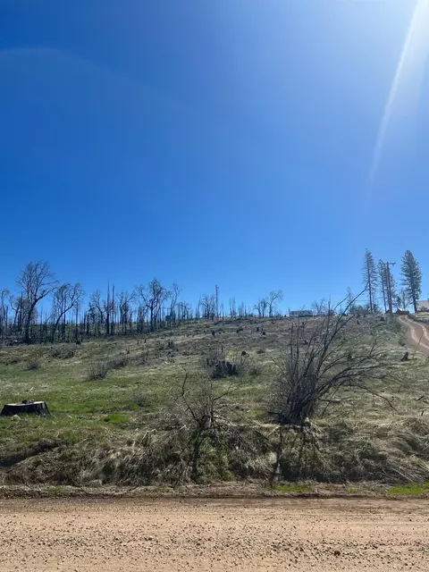 42186 Cedar Springs Rd, Auberry, CA 93602