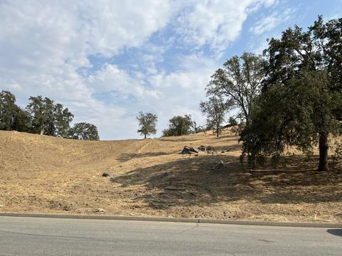 1 Brighton Crest Lot Apt 44 Dr, Friant, CA 93626