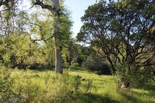 2 Meadow Vw, Mariposa, CA 95338