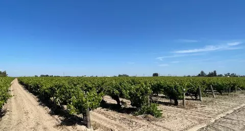 0 Fowlernebraska, Selma, CA 93662