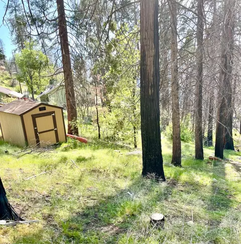 55162 Jungletown Ln, Big Creek, CA 93605