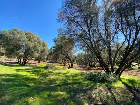 3798 Brodiea, Mariposa, CA 95338
