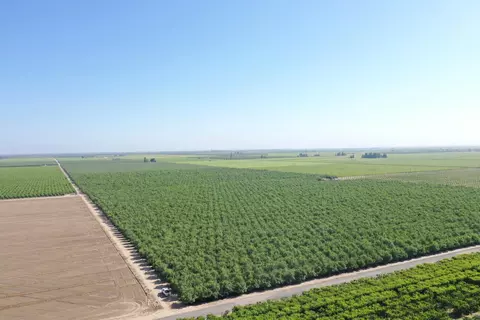 0 Avenue 6, Madera, CA 93637