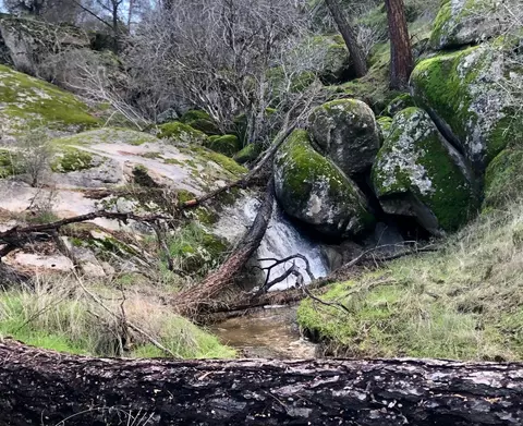 8 Long Hollow Dr, Coarsegold, CA 93614