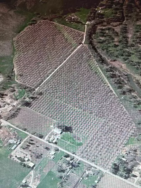 2289 Tivy Valley Rd, Sanger, CA 93657