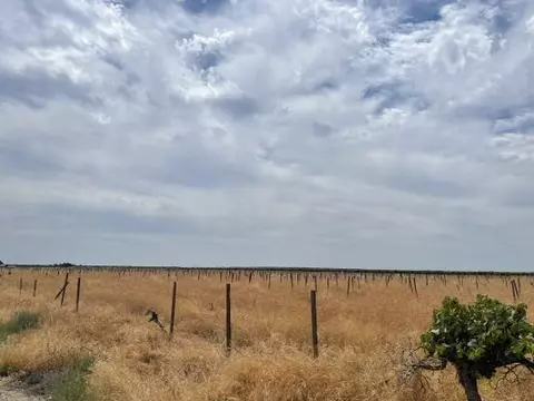 1 W North S Humboldt, Kerman, CA 93630