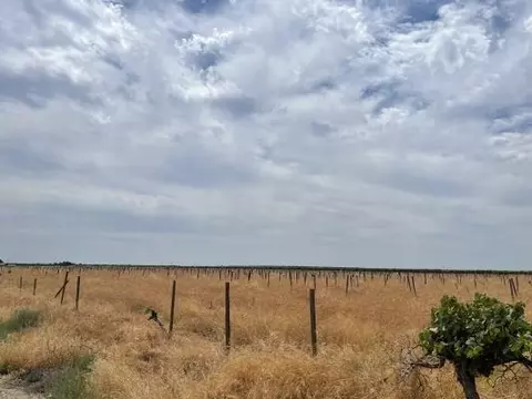 1 W North S Humboldt, Kerman, CA 93630